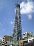新東京タワー335メートル.jpg